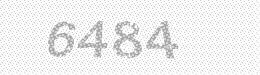 Visual security code — type the characters shown in the image